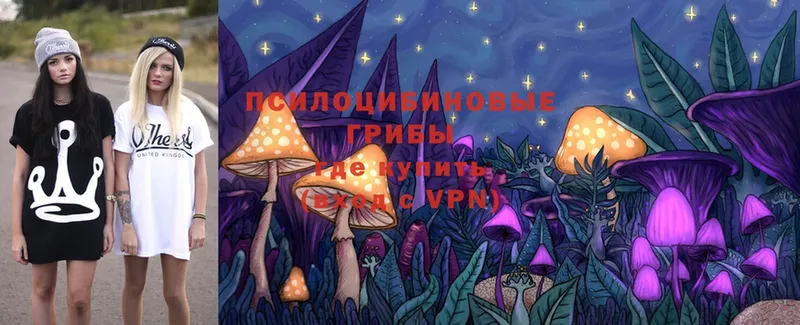 Галлюциногенные грибы Magic Shrooms  Харовск 